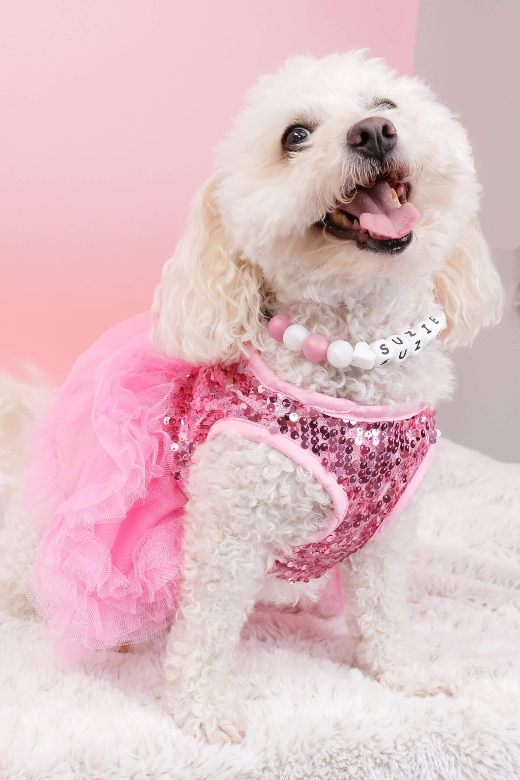 dressed up dog beaded collar rose gold