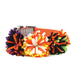 felt halloween dog collar accessories