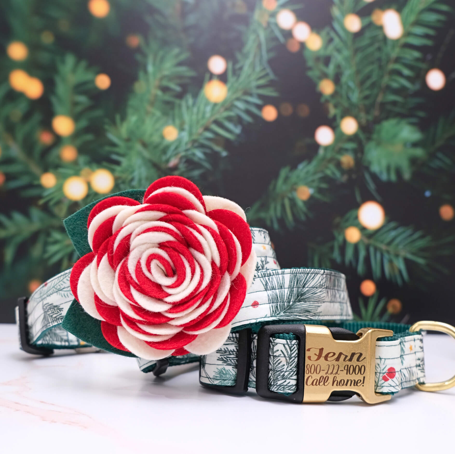 Red Carnation on Winter Berry Christmas Collar