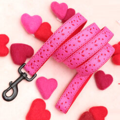 eve lace valentine hot pink dog leash
