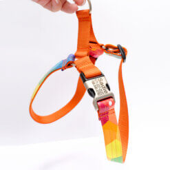 easy on harness prism colorful orange