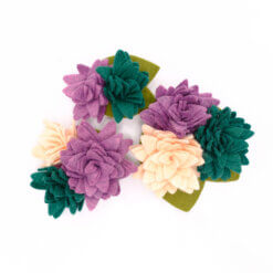 Succulent dog collar flower purple