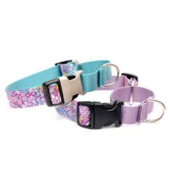 jade succulent martingale dog collar no engraving