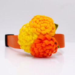 marigold flower for dog collar