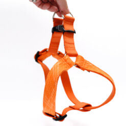 step in harness orange plaid spice flannel